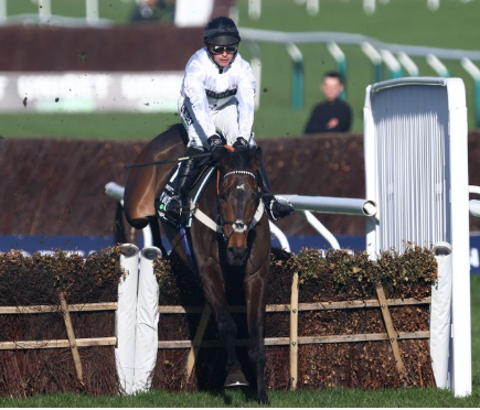 Horse-jump